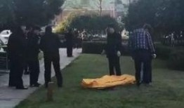 木兰溪跳楼最新爆料,跳楼事件最新爆料揭露惊人内幕