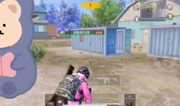 和平精英最新小裙子爆料